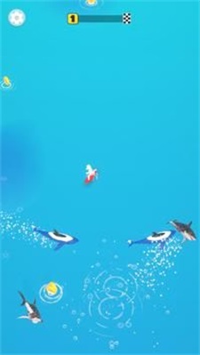 _˫C